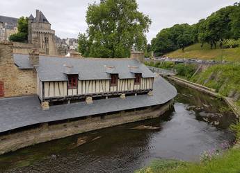 Vannes