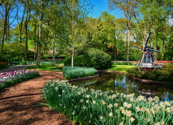 Keukenhof BBT 2