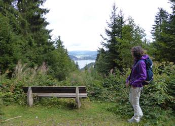 black forest view over titisee