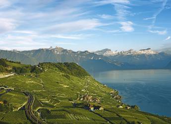 Lucerne cycling view