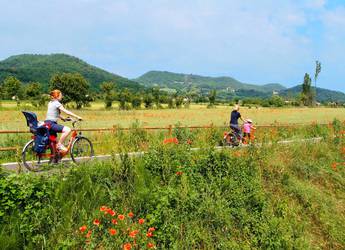 Tours Europe bike flowers Euganean Thermal District