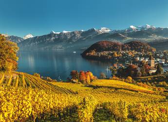 Spiez autumn image