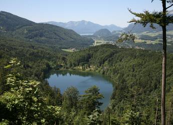 Tours Europe Salzkammergut lake