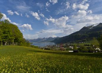 Tours Europe Salzkammergut vista