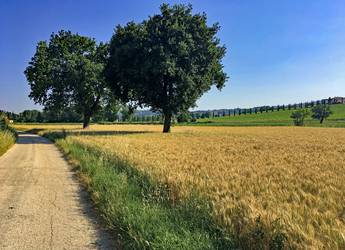 Tours Europe Umbria bike path