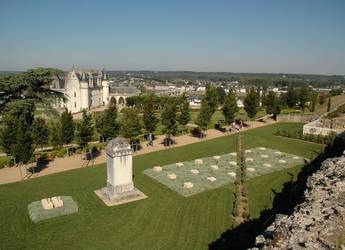 Amboise chateau