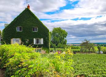 Walk Inn - Burgundy 1