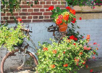 cycling tours europe