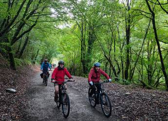 Basque country Kolotip group cycling