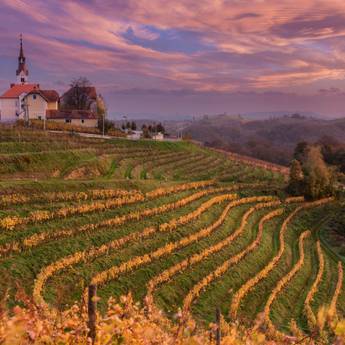 Photography Tours Europe