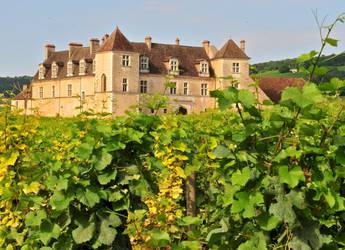 Burgundy Tour Ophorus