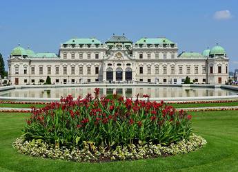 Tours Europe Belvedere flowers