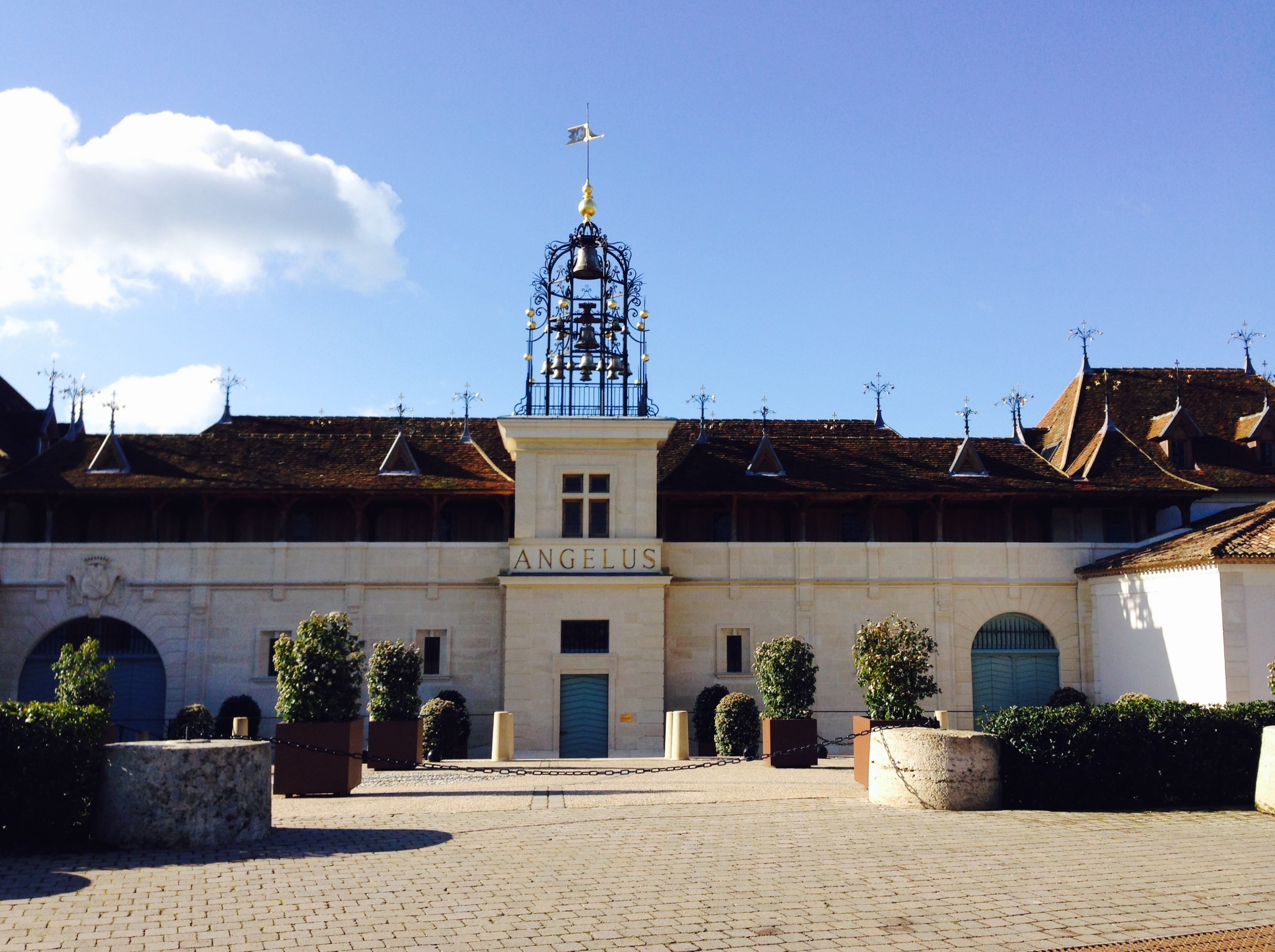 Angelus winery