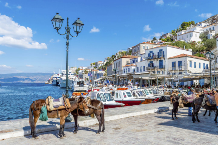 Hydra