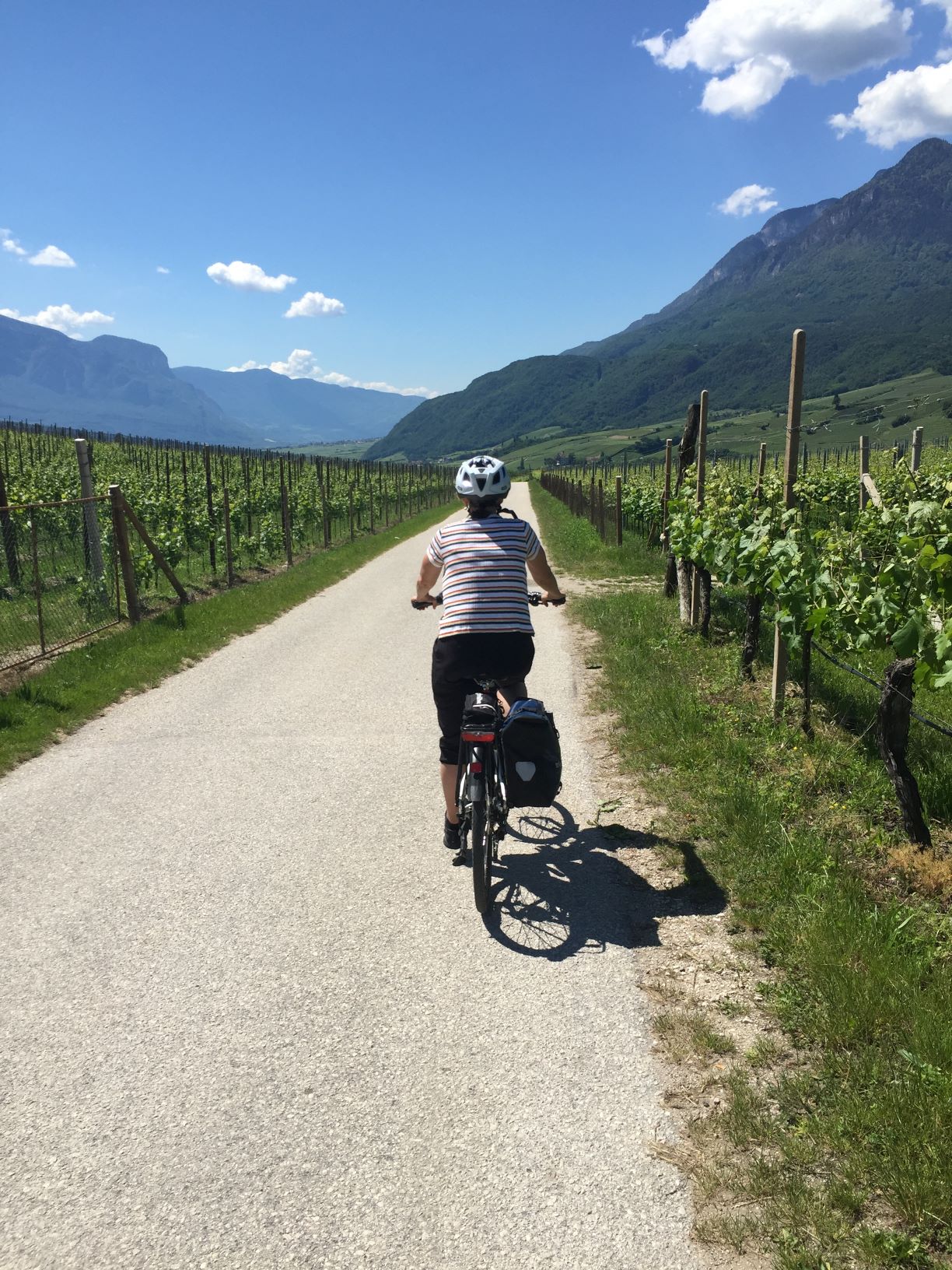 cycling along the adige river