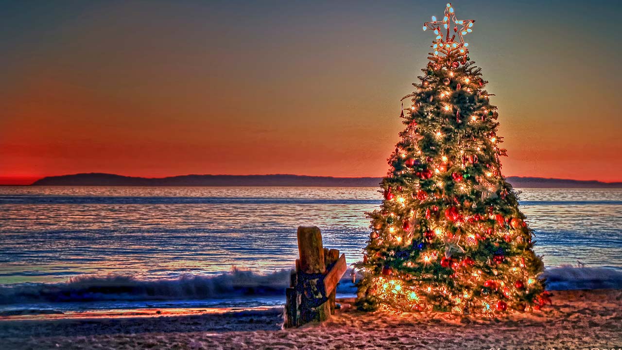 Tours Europe - Christmas Tree