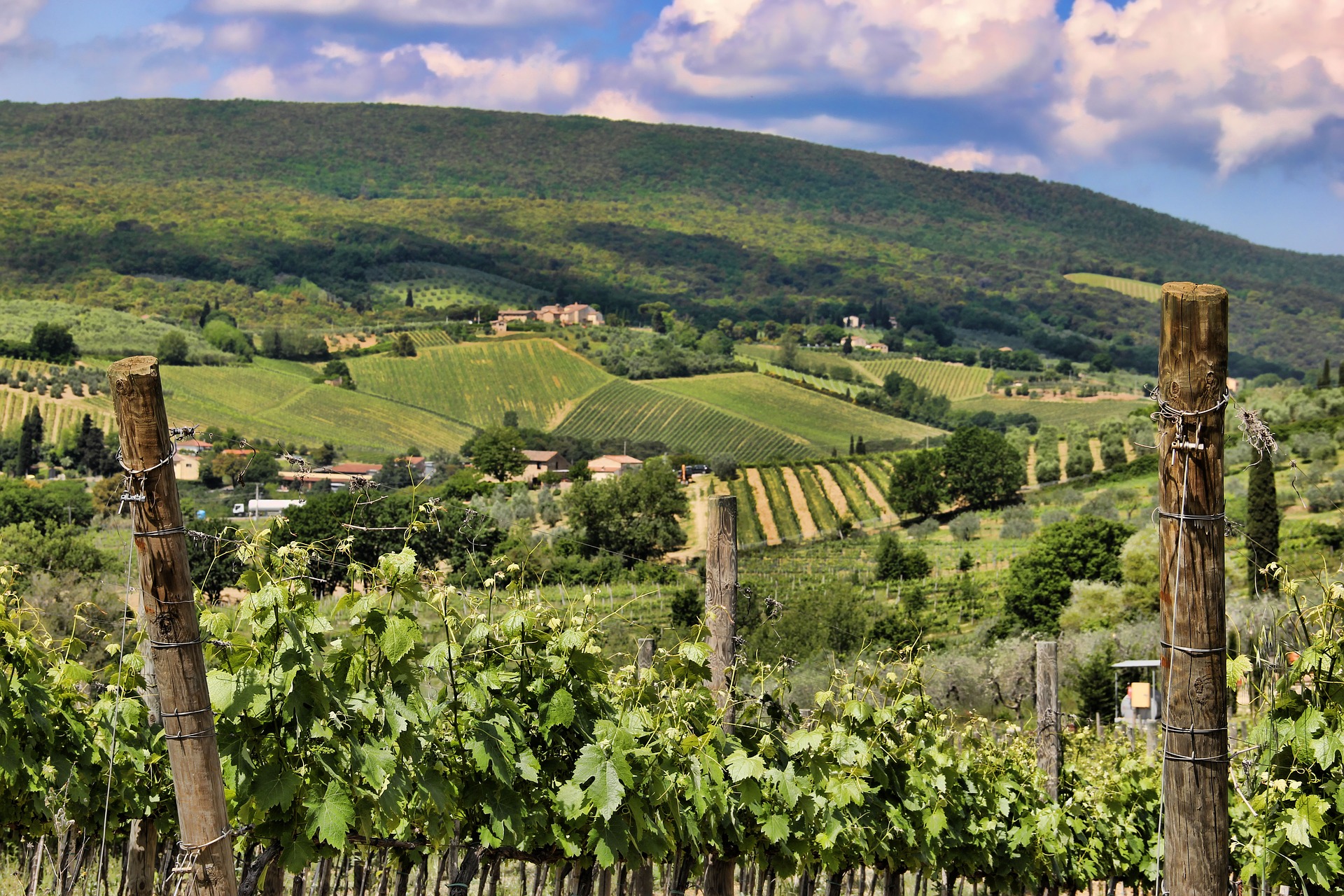 Agritourism 